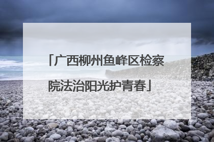 广西柳州鱼峰区检察院法治阳光护青春