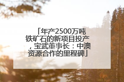 年产2500万吨铁矿石的新项目投产，宝武董事长：中澳资源合作的里程碑