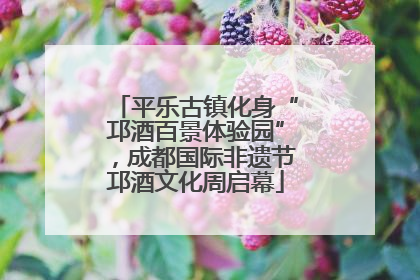 平乐古镇化身“邛酒百景体验园”，成都国际非遗节邛酒文化周启幕