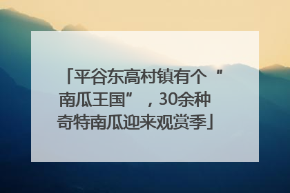 平谷东高村镇有个“南瓜王国”，30余种奇特南瓜迎来观赏季