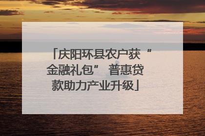 庆阳环县农户获“金融礼包” 普惠贷款助力产业升级