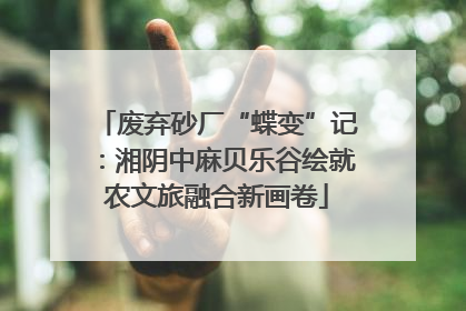 废弃砂厂“蝶变”记：湘阴中麻贝乐谷绘就农文旅融合新画卷