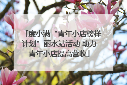 度小满“青年小店榜样计划”丽水站活动 助力青年小店提高营收