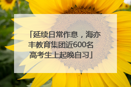 延续日常作息，海亦丰教育集团近600名高考生上起晚自习