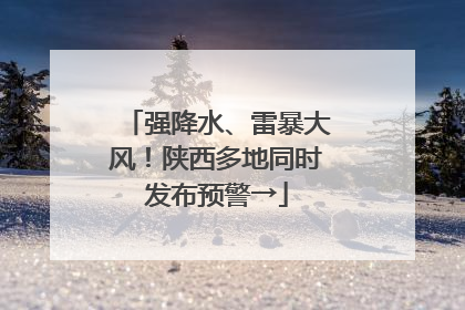 强降水、雷暴大风！陕西多地同时发布预警→