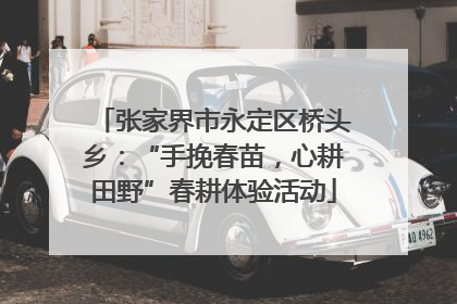 张家界市永定区桥头乡：“手挽春苗，心耕田野”春耕体验活动
