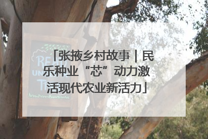 张掖乡村故事｜民乐种业“芯”动力激活现代农业新活力