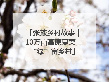 张掖乡村故事｜10万亩高原夏菜“绿”富乡村