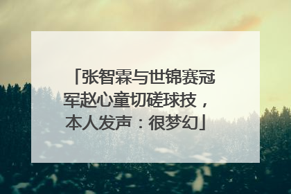 张智霖与世锦赛冠军赵心童切磋球技，本人发声：很梦幻