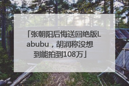 张朝阳后悔送回绝版Labubu，胡润称没想到能拍到108万