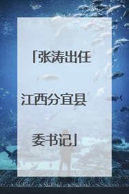 张涛出任江西分宜县委书记