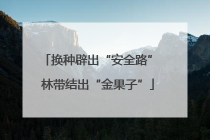换种辟出“安全路” 林带结出“金果子”