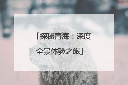 探秘青海：深度全景体验之旅