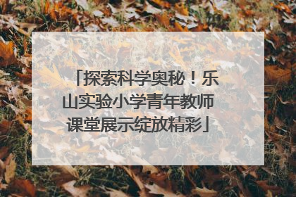 探索科学奥秘！乐山实验小学青年教师课堂展示绽放精彩