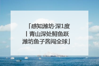 感知潍坊·深1度丨青山深处鲟鱼跃 潍坊鱼子酱闯全球