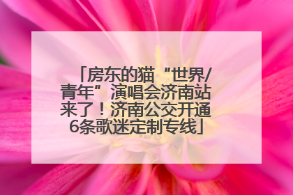 房东的猫“世界/青年”演唱会济南站来了！济南公交开通6条歌迷定制专线