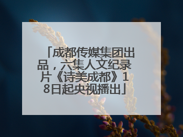 成都传媒集团出品，六集人文纪录片《诗美成都》18日起央视播出