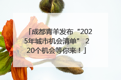 成都青羊发布“2025年城市机会清单” 220个机会等你来！