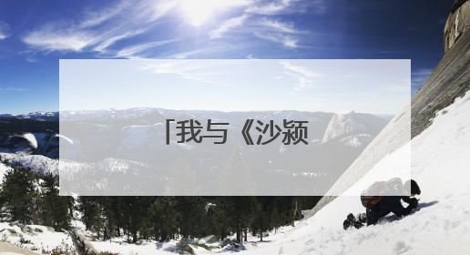 我与《沙颍百里图卷》