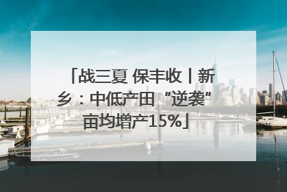 战三夏 保丰收丨新乡：中低产田“逆袭” 亩均增产15%