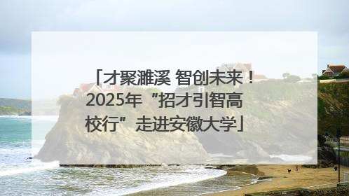 才聚濉溪 智创未来！2025年“招才引智高校行”走进安徽大学