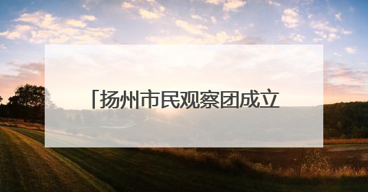 扬州市民观察团成立20周年，198人团队用脚步丈量文明 让城市更有温度