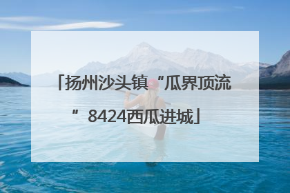 扬州沙头镇“瓜界顶流”8424西瓜进城