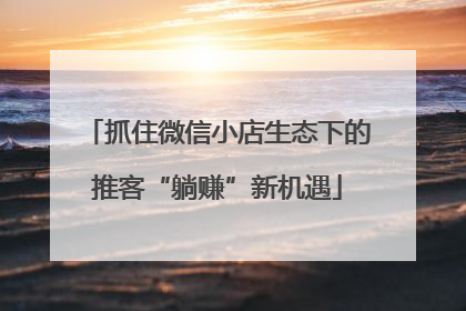 抓住微信小店生态下的推客“躺赚”新机遇