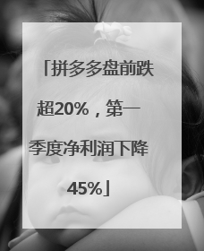 拼多多盘前跌超20%，第一季度净利润下降45%