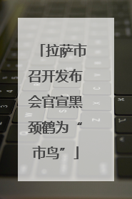 拉萨市召开发布会官宣黑颈鹤为“市鸟”