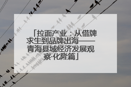 拉面产业：从借牌求生到品牌出海——青海县域经济发展观察·化隆篇