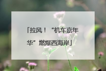 拉风！“机车嘉年华”燃爆西海岸