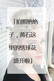拍照绝绝子，黄石这里的绣球花盛开啦