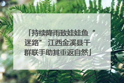 持续降雨致娃娃鱼“迷路” 江西金溪县干群联手助其重返自然