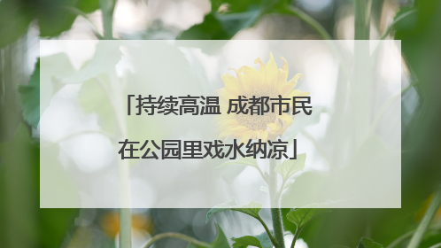 持续高温 成都市民在公园里戏水纳凉