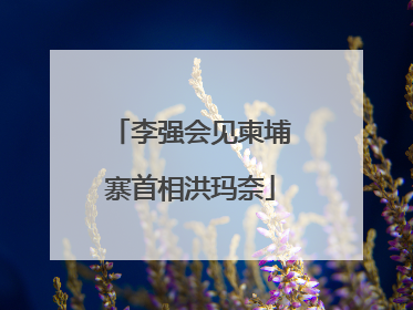 李强会见柬埔寨首相洪玛奈