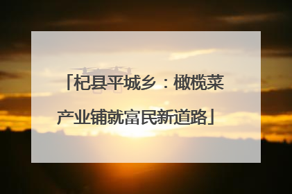 杞县平城乡：橄榄菜产业铺就富民新道路