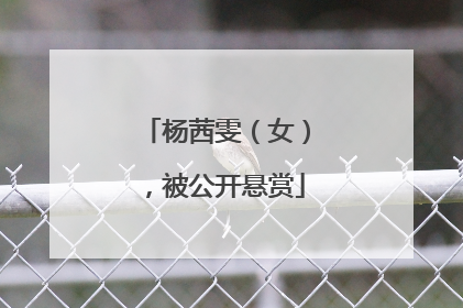 杨茜雯（女），被公开悬赏