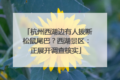 杭州西湖边有人拔断松鼠尾巴？西湖景区：正展开调查核实