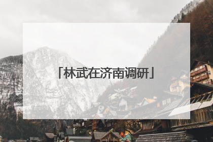 林武在济南调研