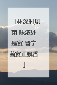 林深时见菌 味浓处是宴 晋宁菌宴正飘香