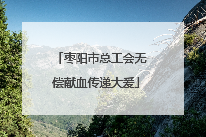枣阳市总工会无偿献血传递大爱