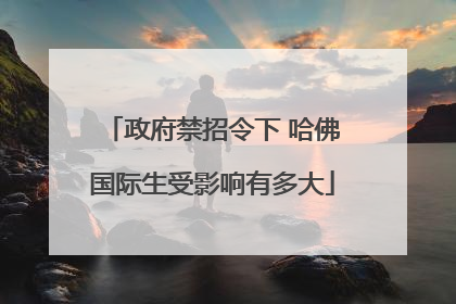 政府禁招令下 哈佛国际生受影响有多大