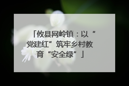 攸县网岭镇：以“党建红”筑牢乡村教育“安全绿”