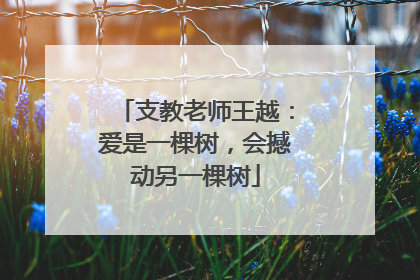 支教老师王越：爱是一棵树，会撼动另一棵树