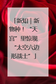 新知｜新物种！“天宫”里惊现“太空六边形战士”