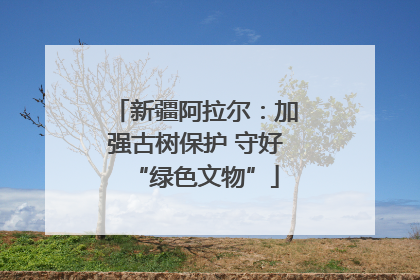 新疆阿拉尔：加强古树保护 守好“绿色文物”