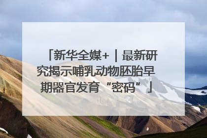 新华全媒+｜最新研究揭示哺乳动物胚胎早期器官发育“密码”
