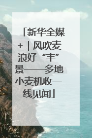 新华全媒+｜风吹麦浪好“丰”景——多地小麦机收一线见闻