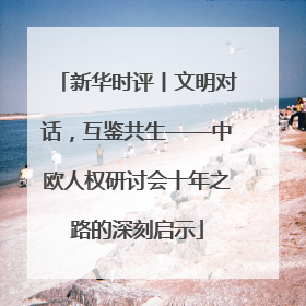 新华时评丨文明对话，互鉴共生——中欧人权研讨会十年之路的深刻启示